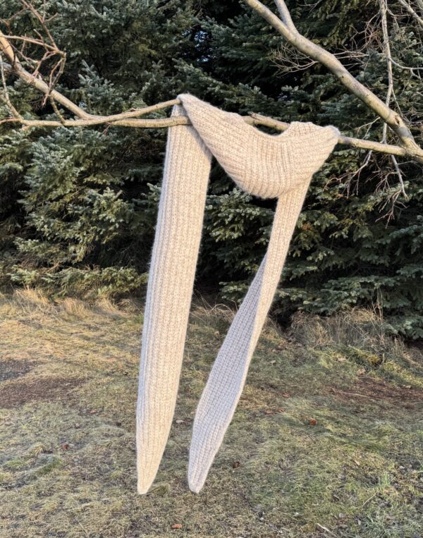 Alfífa hettutrefill